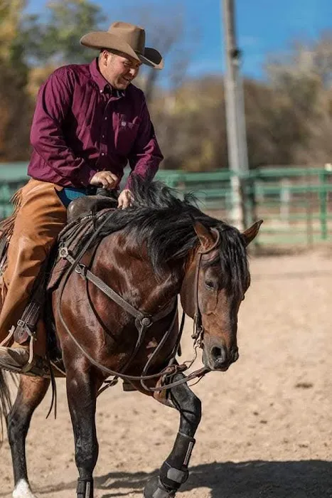 Stoffel Equine Veterinary Clinic 1