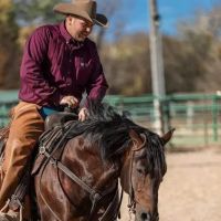 Stoffel Equine Veterinary Clinic ico
