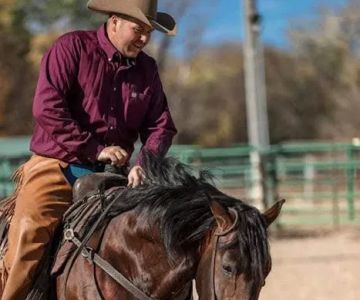 Stoffel Equine Veterinary Clinic