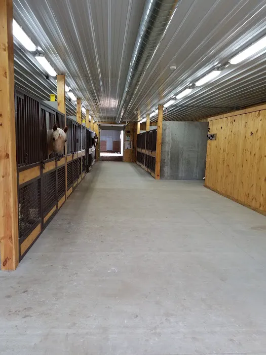 Stoffel Equine Veterinary Clinic 8
