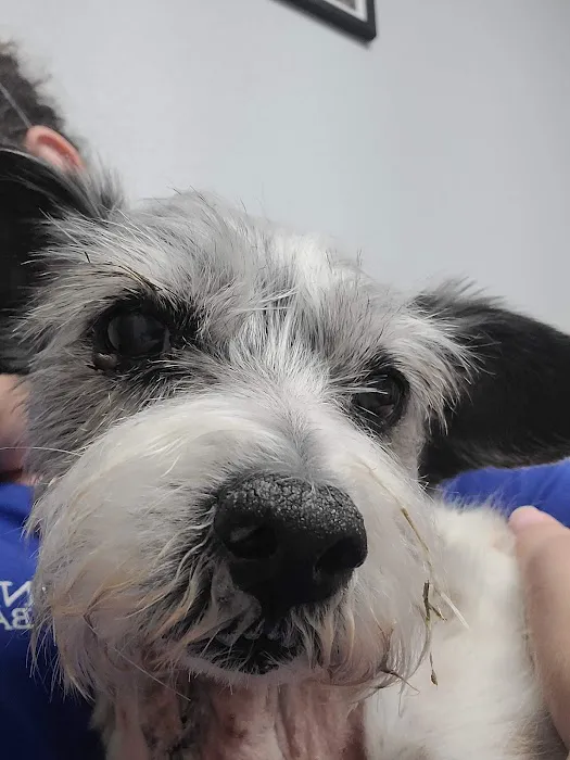 Lake Pepin Pet Clinic 9