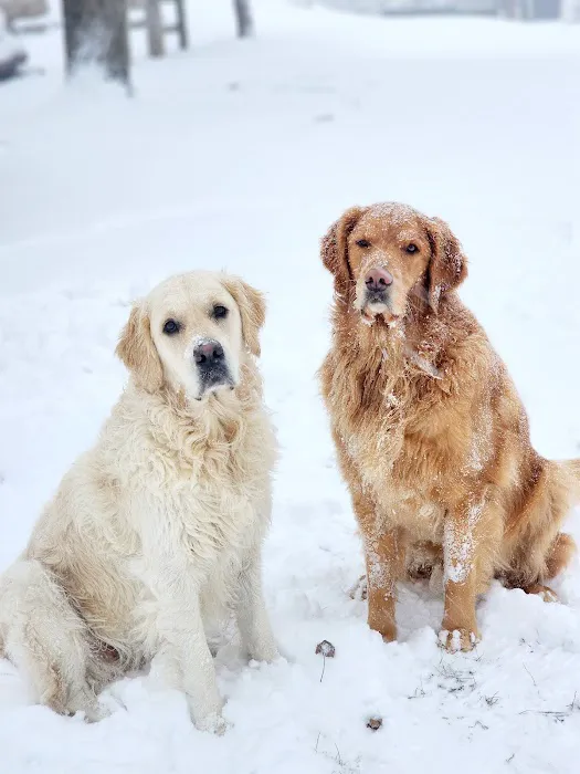 Lake Pepin Pet Clinic 8