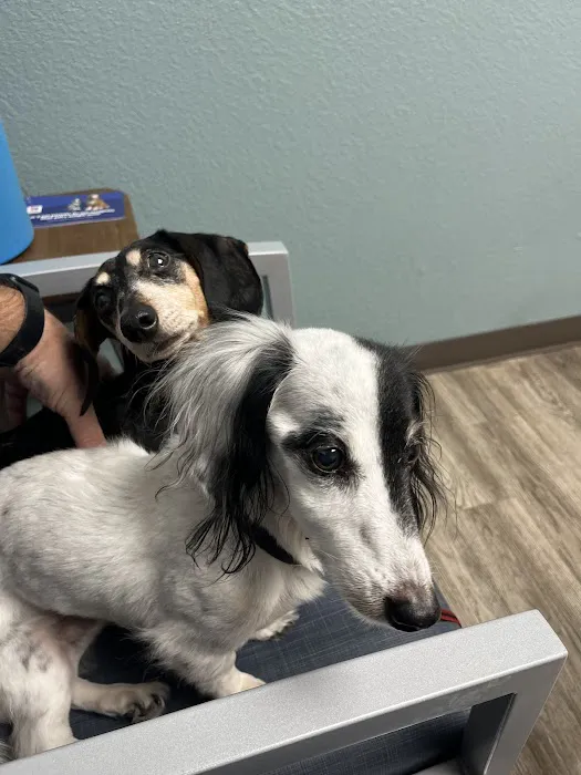 Lake Pepin Pet Clinic 7
