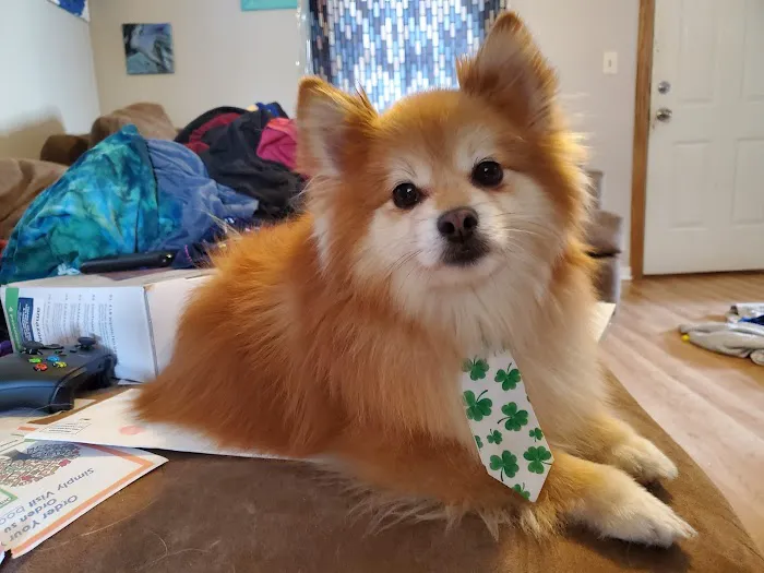 Lake Pepin Pet Clinic 2