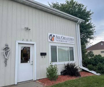 All Creatures Vet Clinic