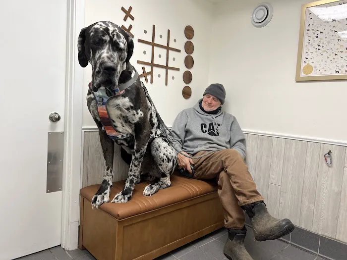 Animal Health Center 4