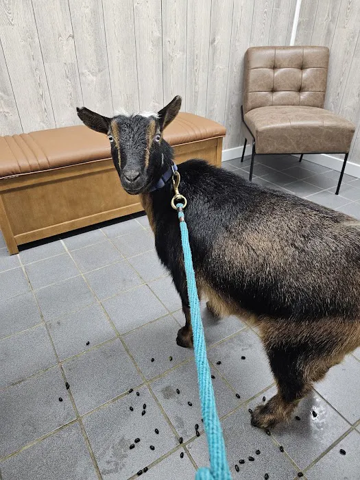 Animal Health Center 7