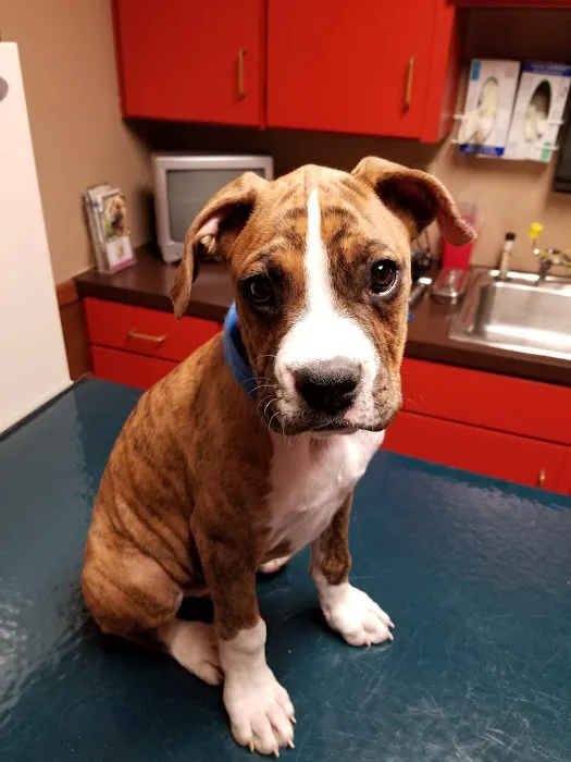 Zumbrota Veterinary Clinic 6