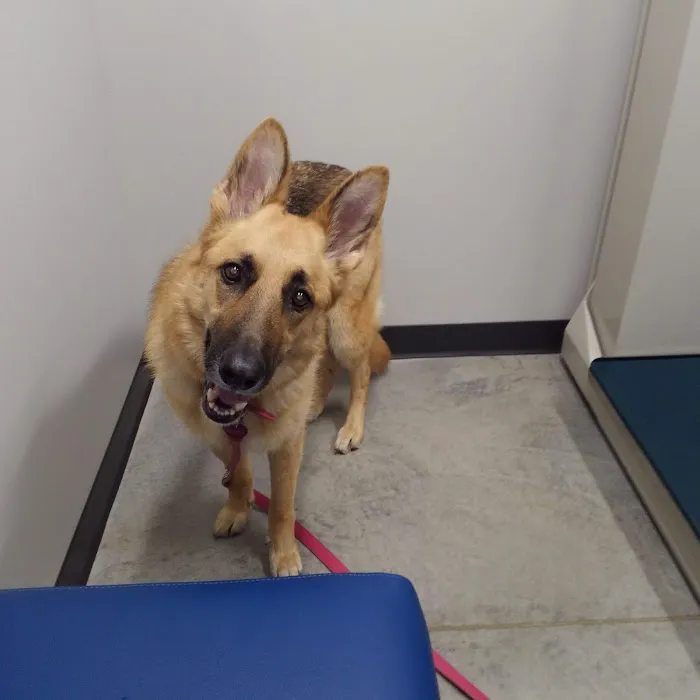 Zumbrota Veterinary Clinic 7