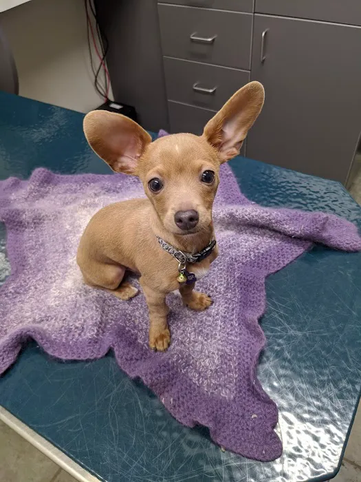 Zumbrota Veterinary Clinic 8