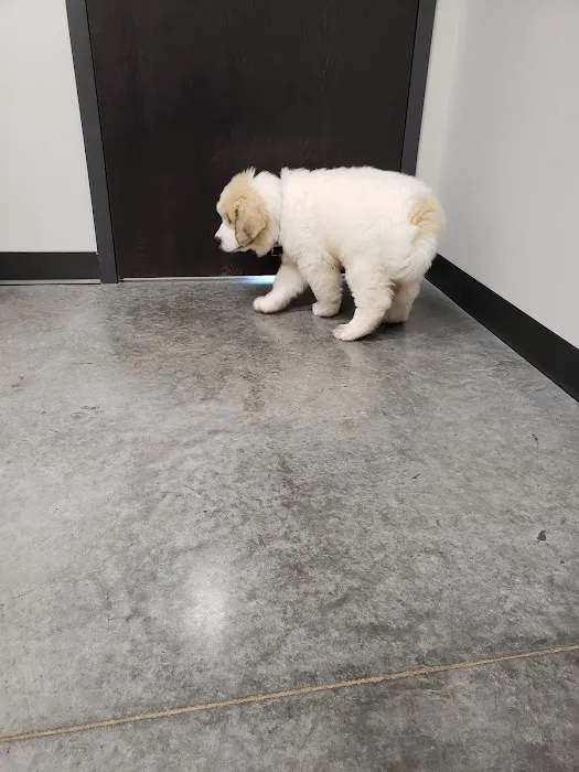Zumbrota Veterinary Clinic 5