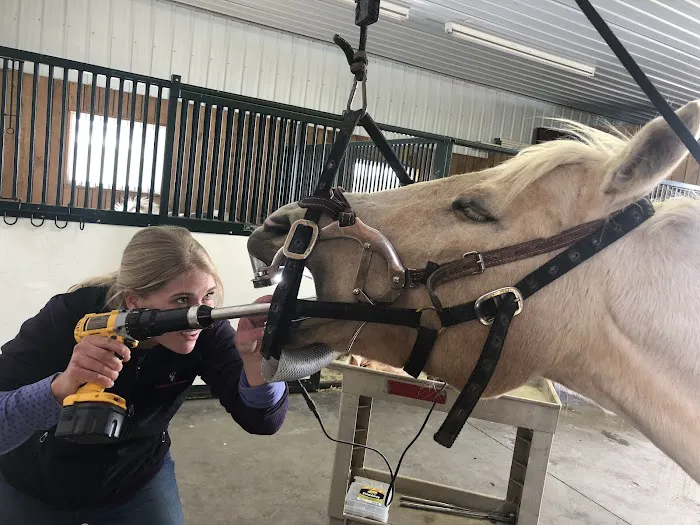 Chippewa Valley Veterinary 7