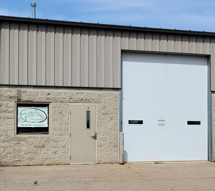 Elite Pawz Veterinary Clinic 5