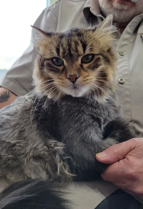 Elite Pawz Veterinary Clinic 1