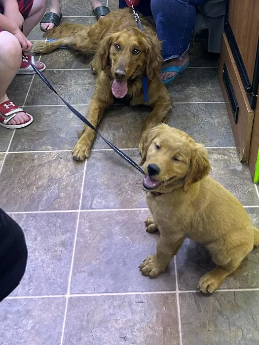Elite Pawz Veterinary Clinic 7