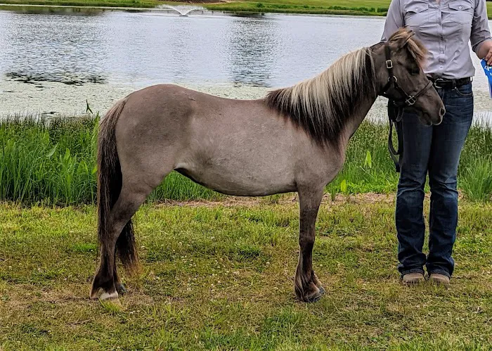 Weitz Equine Veterinary Services 4
