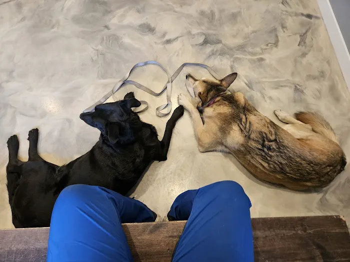 Lester Prairie Vet Clinic 6