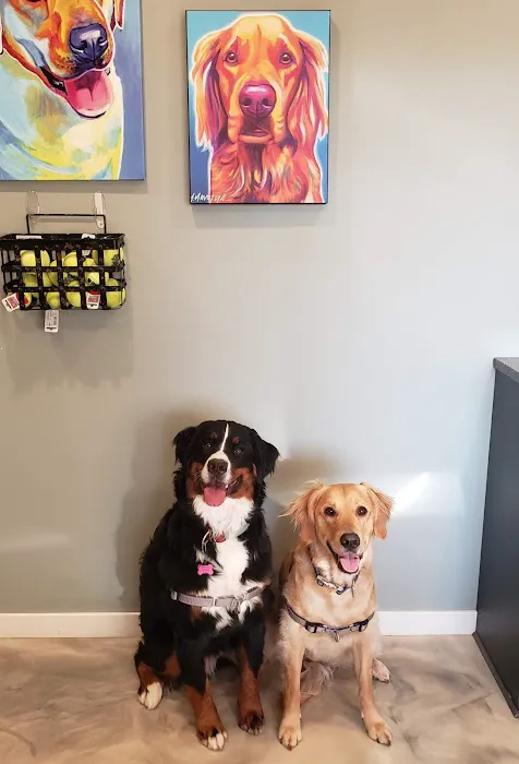 Lester Prairie Vet Clinic 4