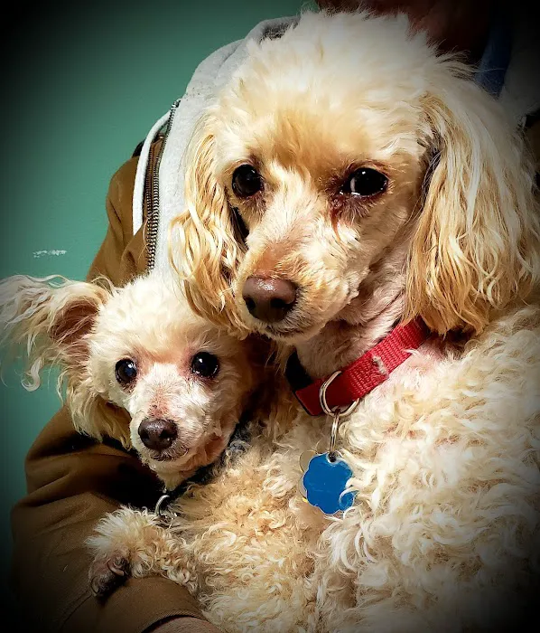 Glencoe Veterinary Clinic 6
