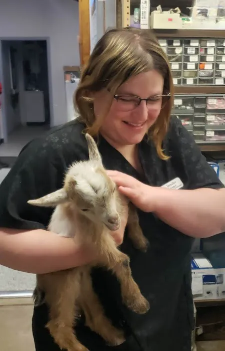 Glencoe Veterinary Clinic 9