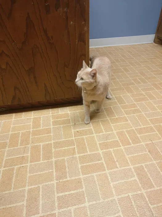 Arlington Animal Clinic - MVVS 12
