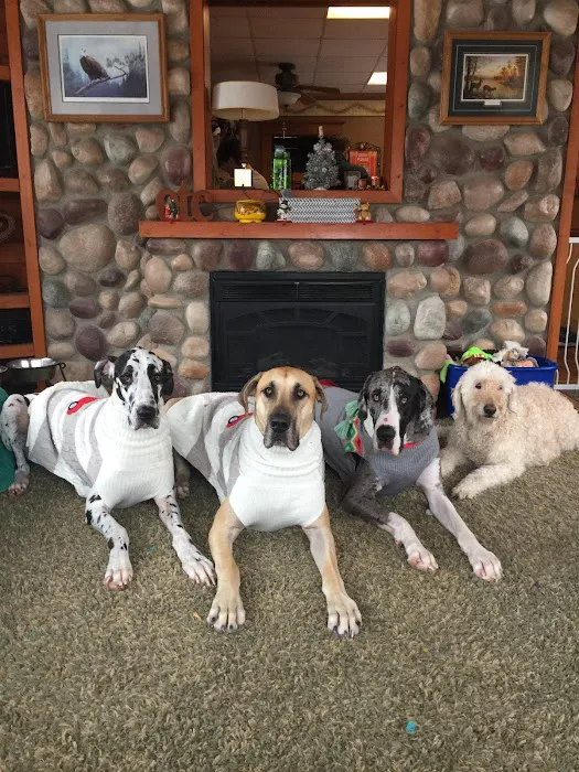 Arlington Animal Clinic - MVVS 12