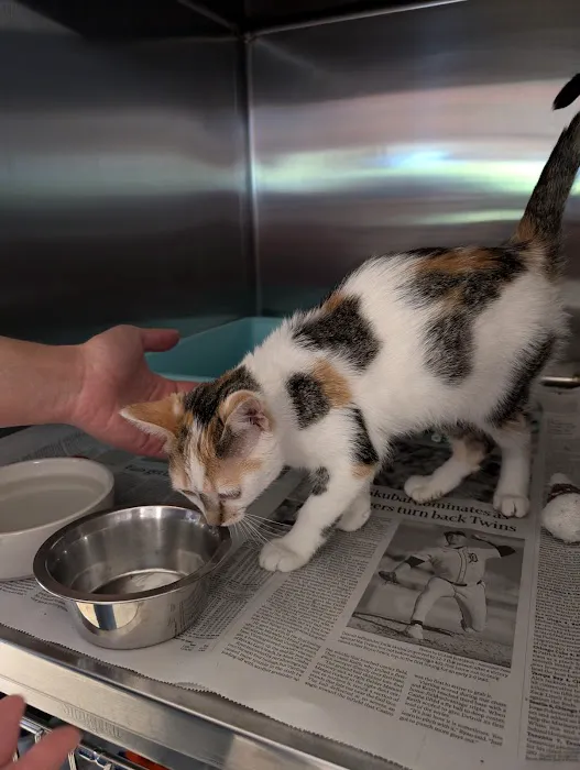 Crossroads Animal Shelter & Community Veterinary Clinic 4