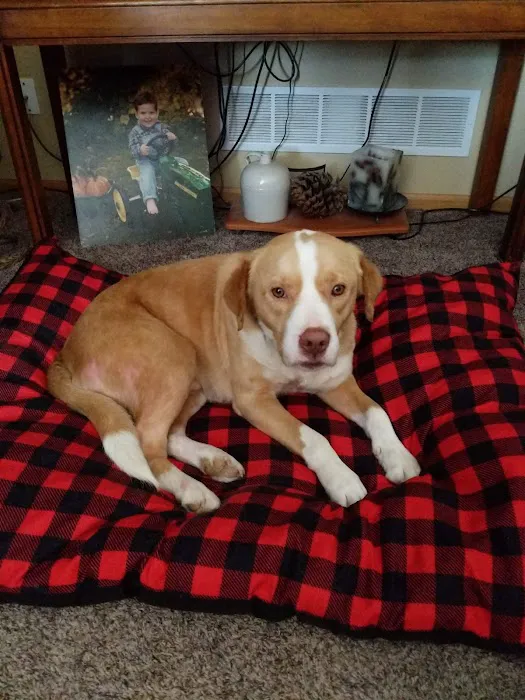 Crossroads Animal Shelter & Community Veterinary Clinic 5