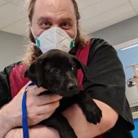 Crossroads Animal Shelter & Community Veterinary Clinic ico