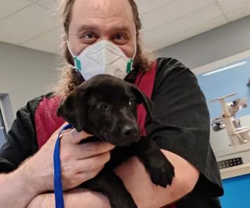 Crossroads Animal Shelter & Community Veterinary Clinic