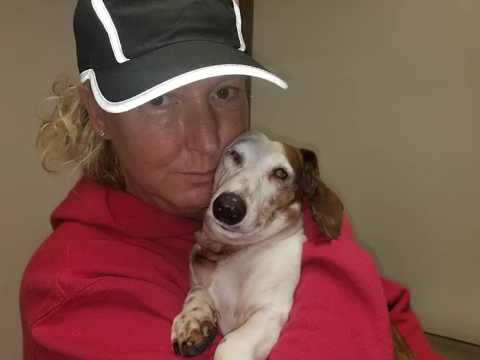 St Michael Veterinary Clinic 5