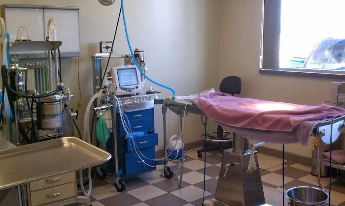 Buffalo Companion Animal Clinic 7