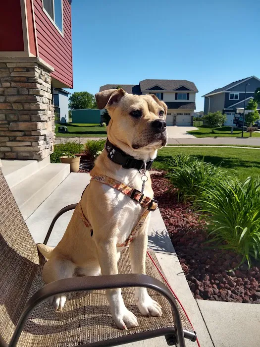 Buffalo Companion Animal Clinic 1