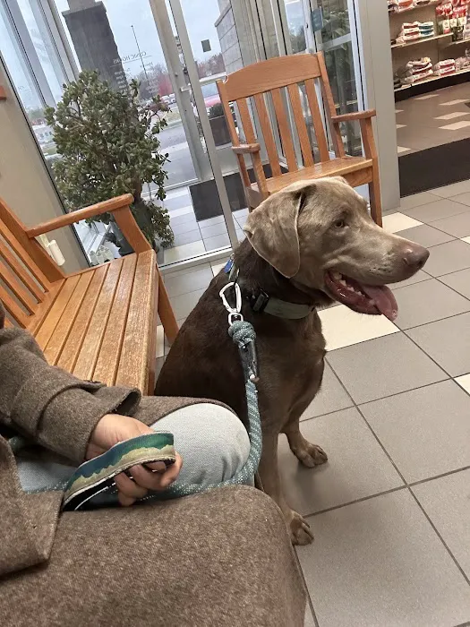 Buffalo Companion Animal Clinic 2