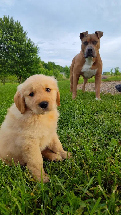 Whetstone Animal Hospital LLC 9