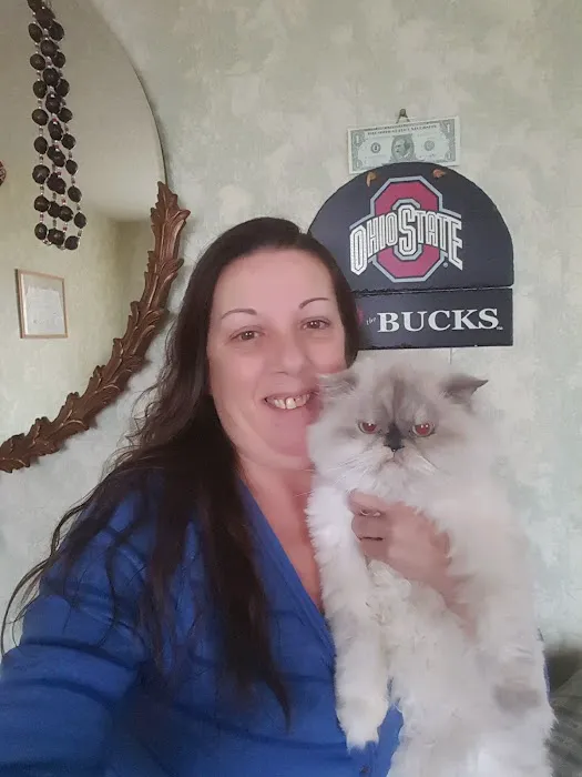 Whetstone Animal Hospital LLC 8
