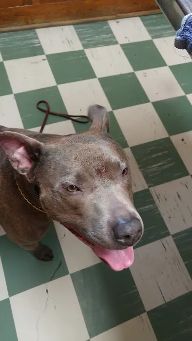 Kantzer Veterinary Clinic 7