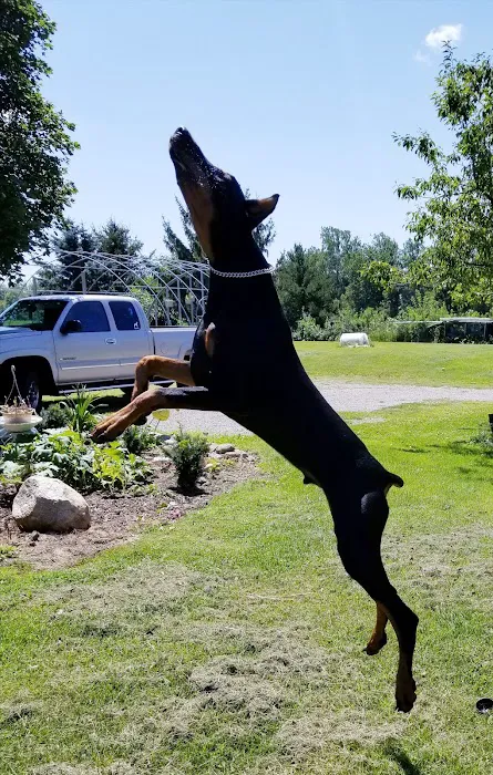 Kantzer Veterinary Clinic 10