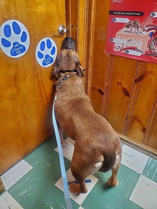 Kantzer Veterinary Clinic 9