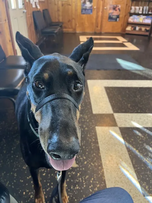 Kantzer Veterinary Clinic 6