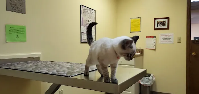 Galion Veterinary Hospital 4