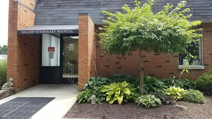 Galion Veterinary Hospital 5