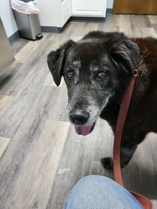 Galion Veterinary Hospital 9