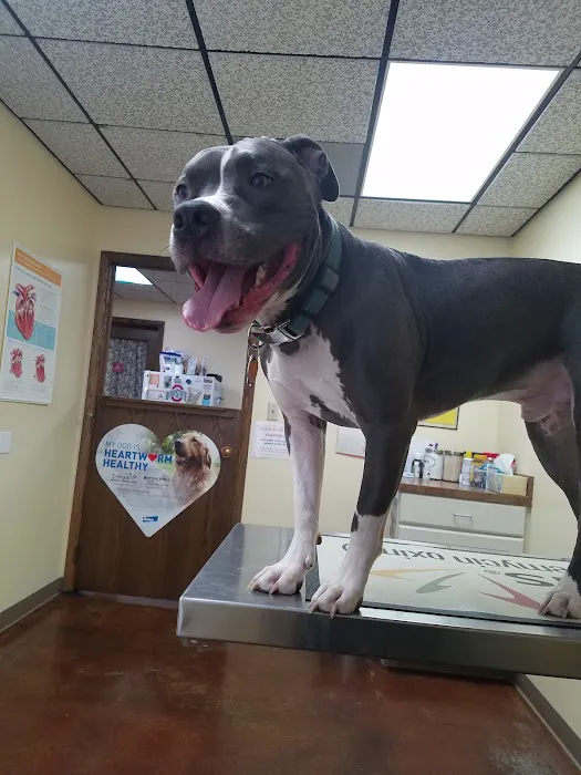 Galion Veterinary Hospital 2