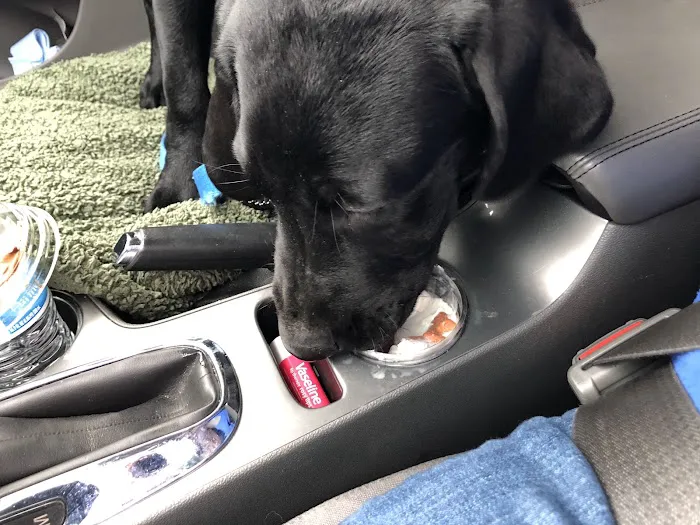 Horizon Animal Hospital 1