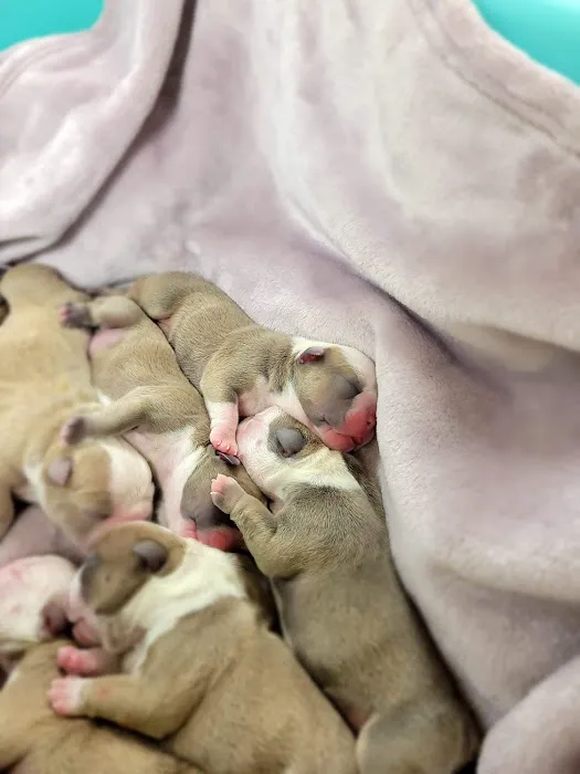 Horizon Animal Hospital 5