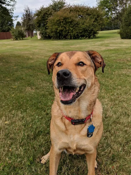 Horizon Animal Hospital 8