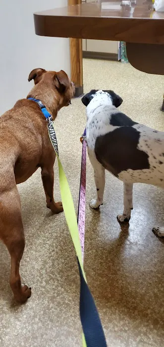 Horizon Animal Hospital 3