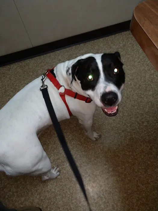 Horizon Animal Hospital 9