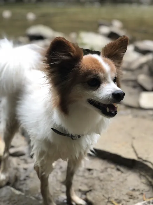 Horizon Animal Hospital 2